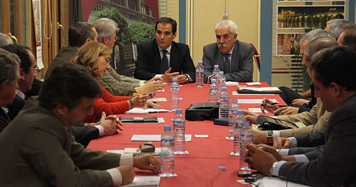El Pleno del Consejo Social de la Ciudad se reúne con el Sr. Alcalde de Córdoba, D. José Antonio Nieto Ballesteros